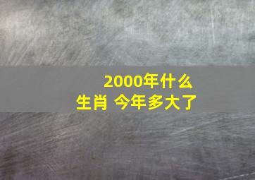 2000年什么生肖 今年多大了